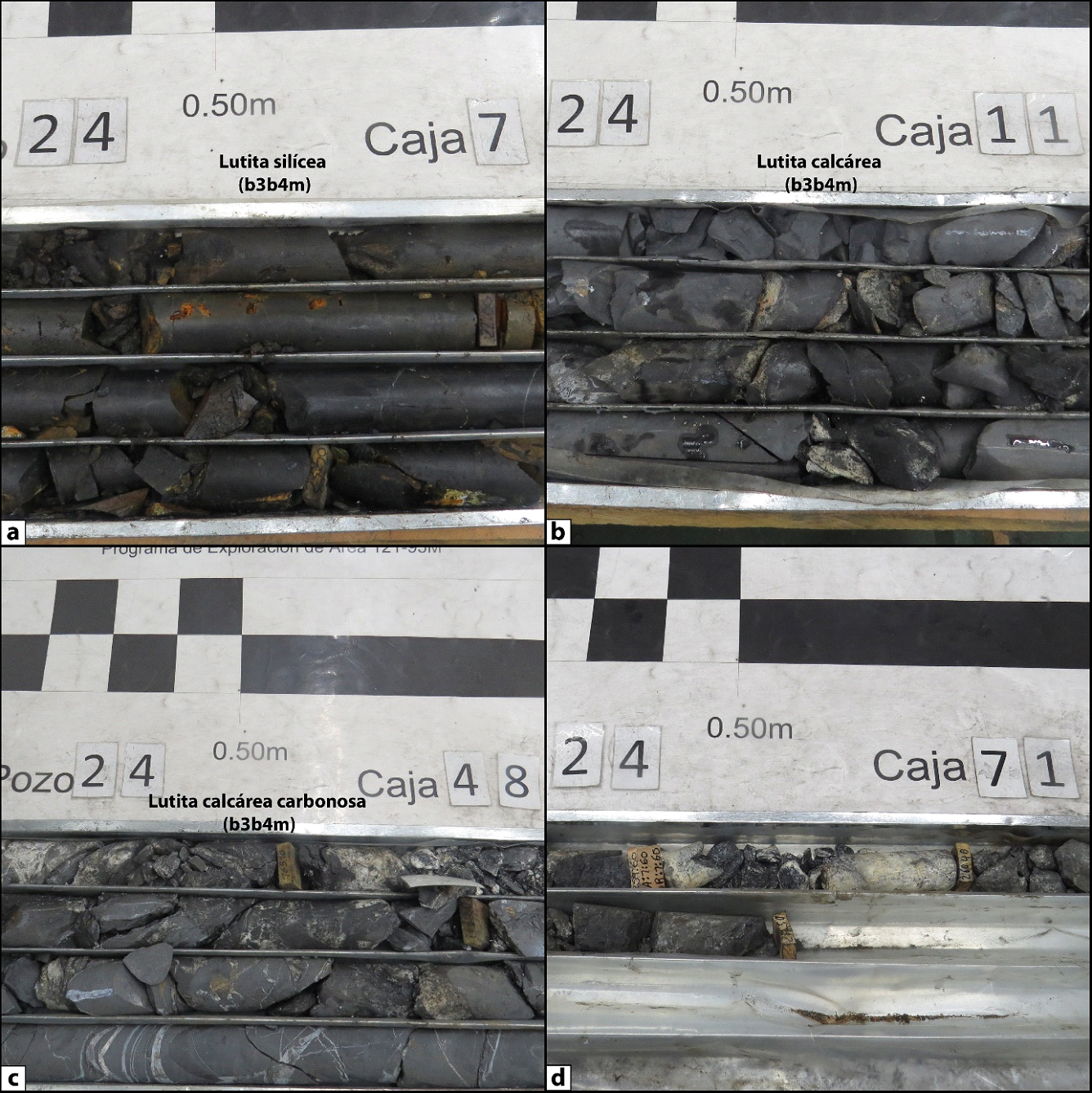 Figura 02. Exposiciones de las diferentes litologías reconocidas en los núcleos de perforación recuperados