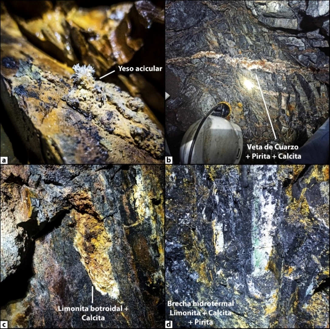 Figura 01. Mineralizaciones presentes en las litologías reconocidas en la bocamina