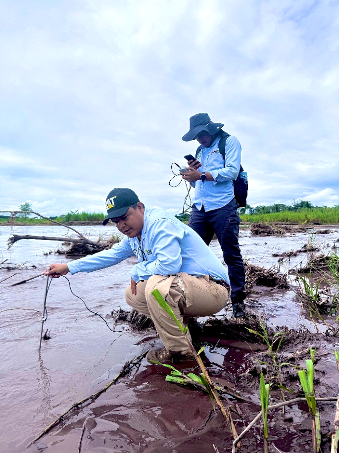 Análisis hidráulico - Imagen 1