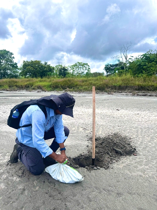 Estudio geológico - Imagen 3